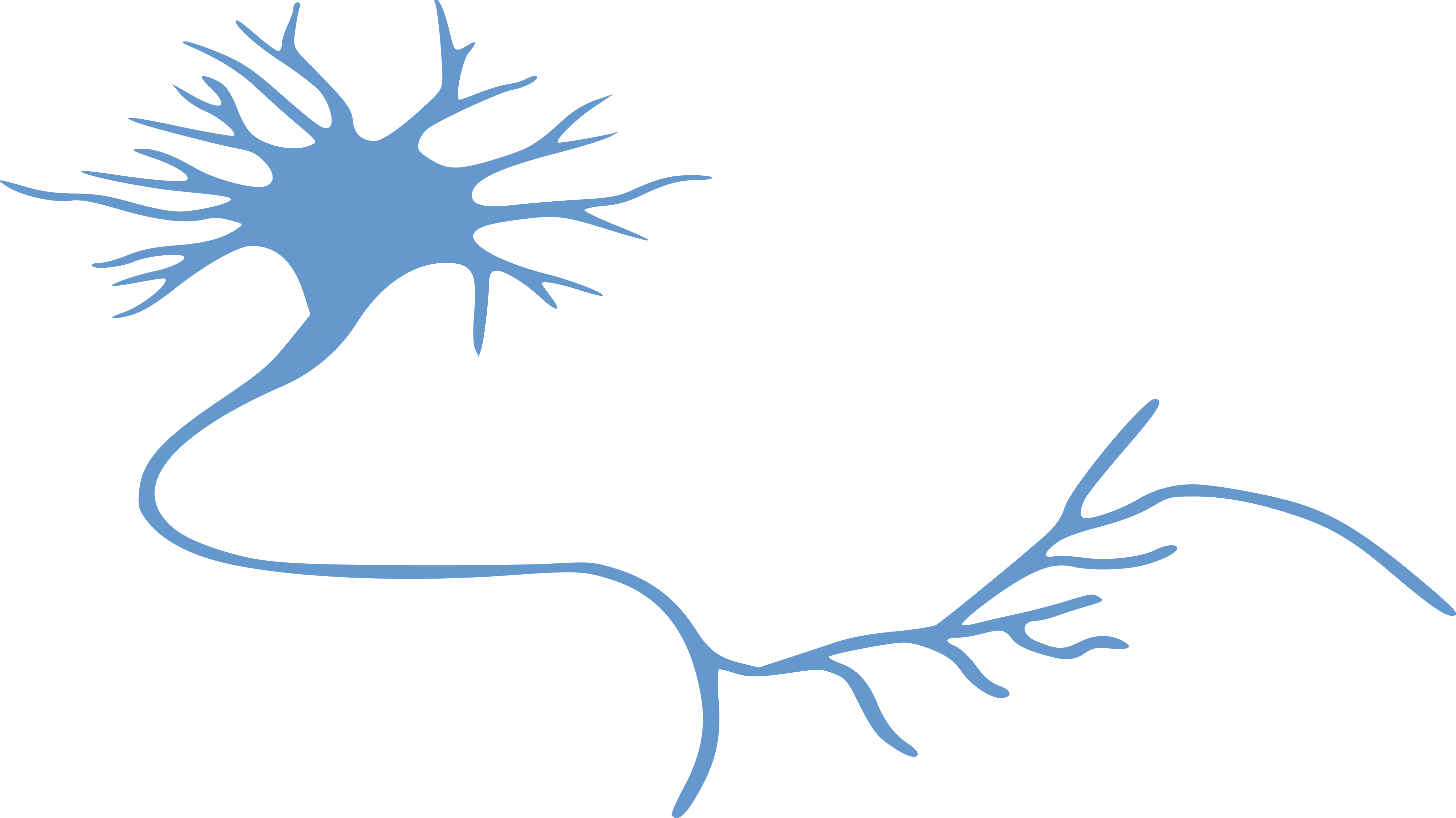 neuron_logo_300x150